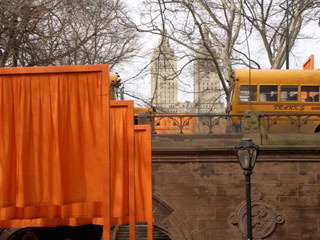 A view of Christo's Gates photographed by Patrick Burns