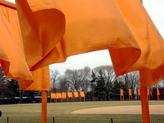 A view of Christo's Gates billowing in the wind taken by Patrick Burns
